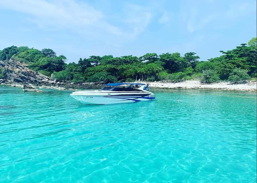 Ko Samui: Pig Island Snorkeling and Koh Tan Speedboat Tour - Quick take: what makes this trip worth your time