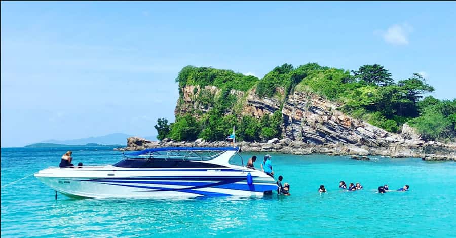 Ko Samui: Pig Island Snorkeling and Koh Tan Speedboat Tour - A half-day island trip with a very clear main attraction