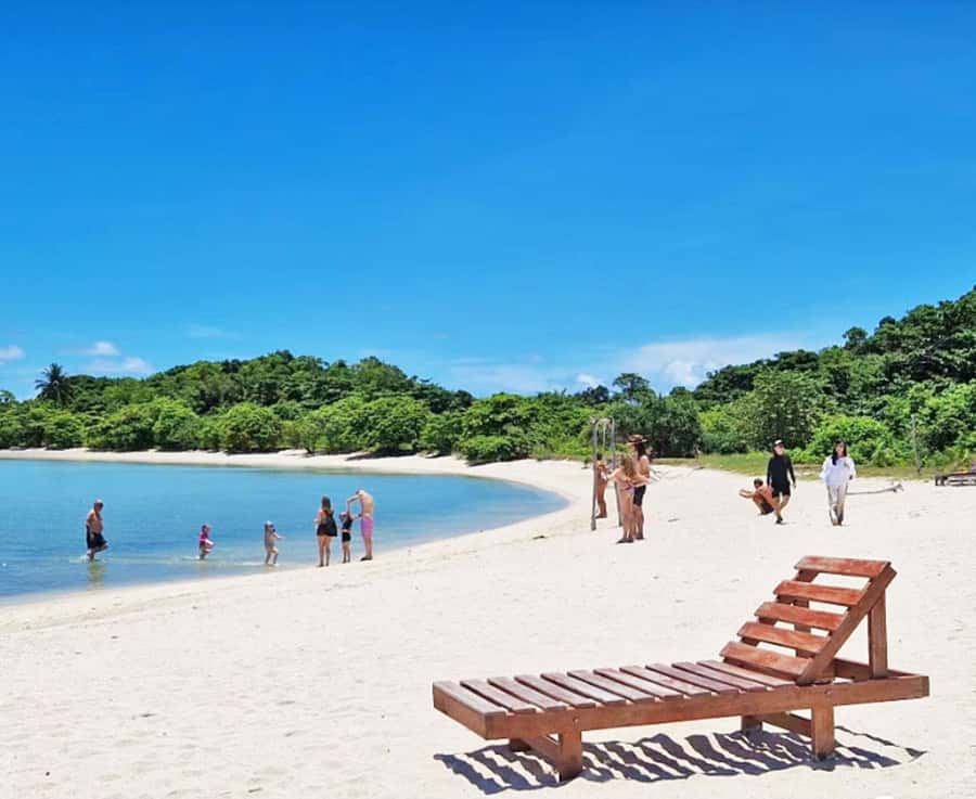 Ko Samui: Pig Island Snorkeling and Koh Tan Speedboat Tour - Koh Madsum, the beach where pigs roam free