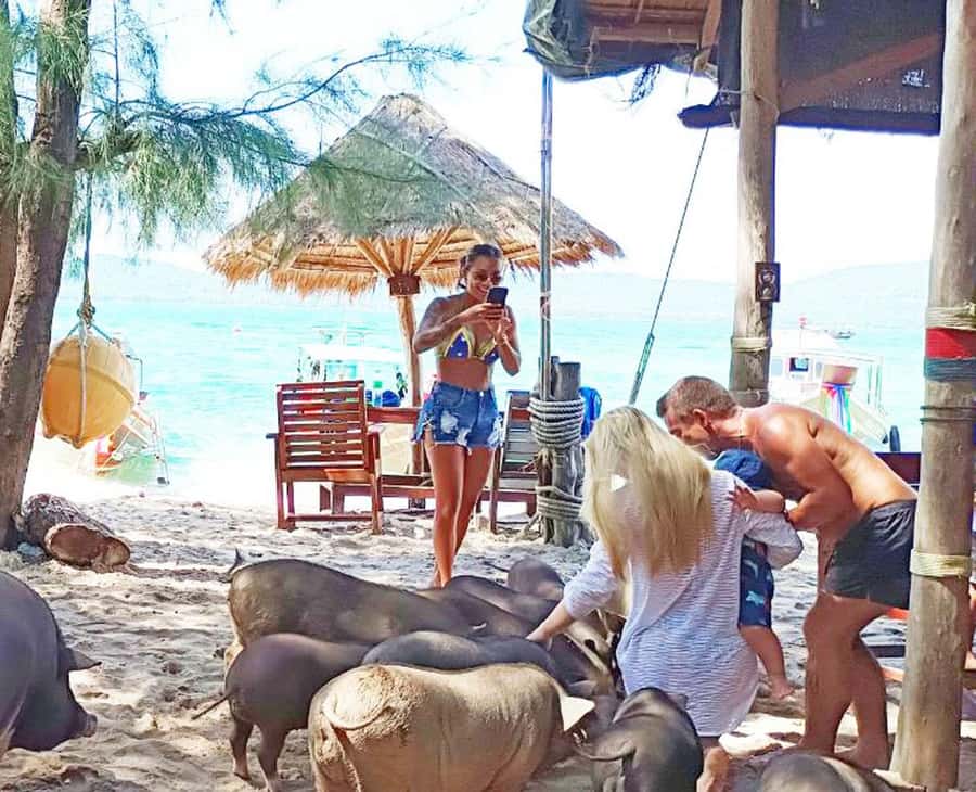Ko Samui: Pig Island Snorkeling and Koh Tan Speedboat Tour - Lunch, drinks, and the afternoon schedule
