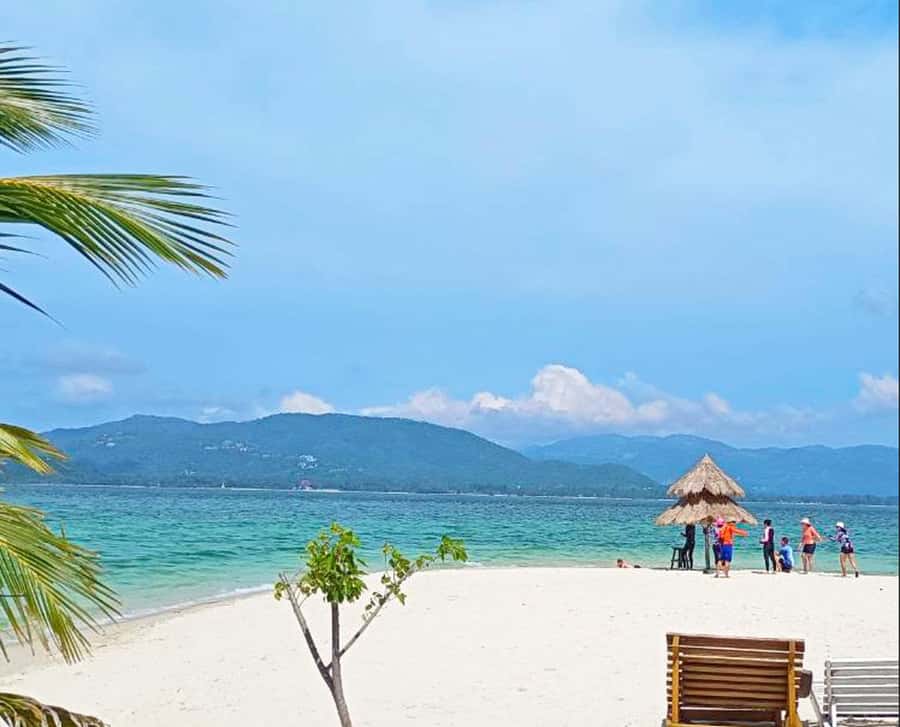 Ko Samui: Pig Island Snorkeling and Koh Tan Speedboat Tour - The speedboat and group size