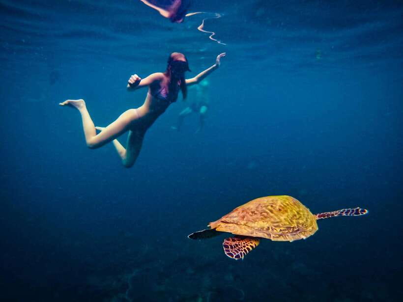 Ko Tao: Late Riser Snorkeling Tour with Lunch and Photos - Coral and fish at Hin Wong Bay
