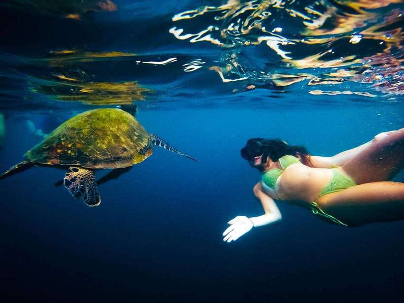 Ko Tao: Late Riser Snorkeling Tour with Lunch and Photos - The real cost: $28 plus Koh Nangyuan
