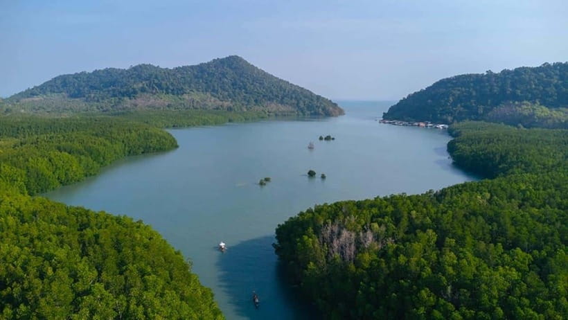 Koh Chang: Mangrove Forest Gondola Tour - Key points to know before you go