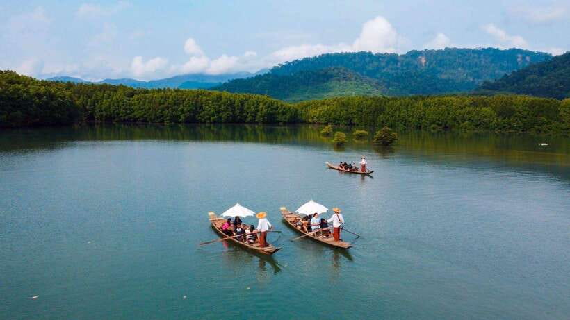 Koh Chang: Mangrove Forest Gondola Tour - My verdict: book it for quiet, not thrills