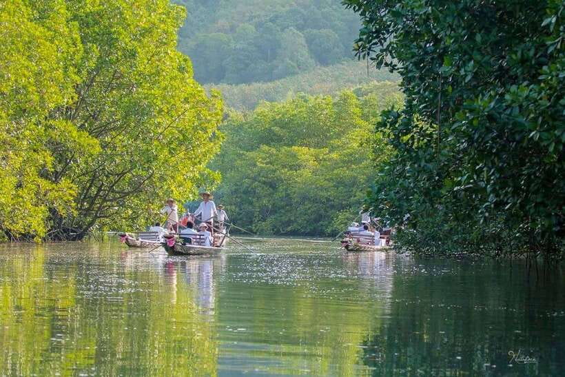 Koh Chang: Mangrove Forest Gondola Tour - The 40-minute gondola ride through the mangroves