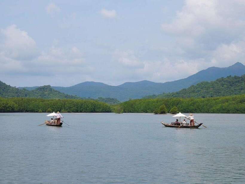 Koh Chang: Mangrove Forest Gondola Tour - The peaceful pace is the main attraction