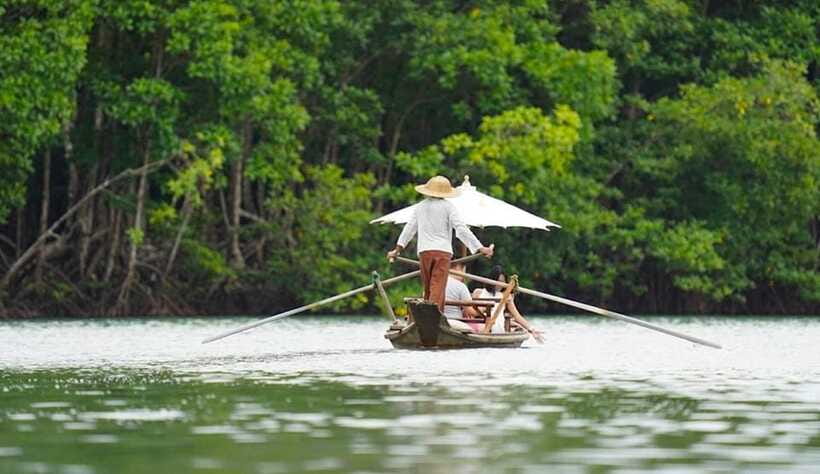 Koh Chang: Mangrove Forest Gondola Tour - Weather, comfort, and what to bring