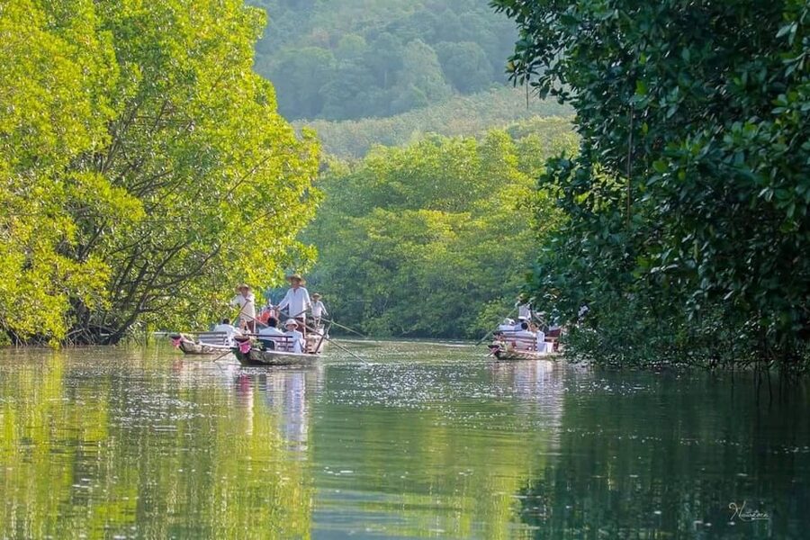 Koh Chang: Mangrove Forest Gondola Tour - Planning the rest of your visit around Salak Khok