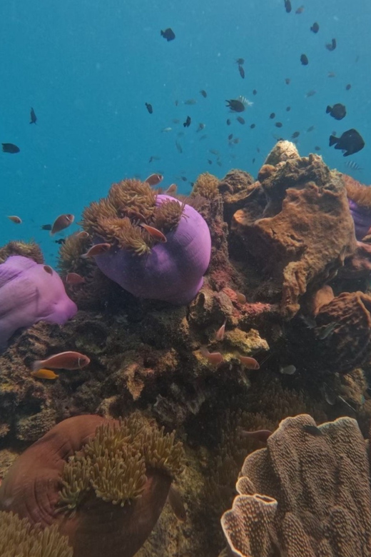 Koh Kood: Snorkeling Speedboat Tour with Lunch and Transfer - The speedboat ride, pollution, and practical limits