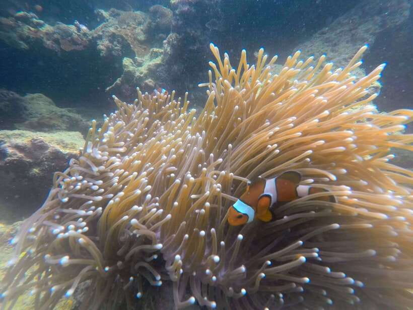 Koh Lanta: 4-Island Adventure Tour to Emerald Cave - The ride home can change with conditions