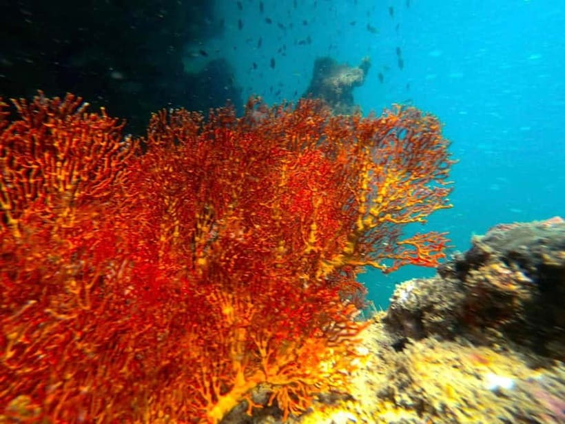 Koh Lanta: 4 Islands and Emerald Cave Snorkeling Trip - A full island day from Koh Lanta