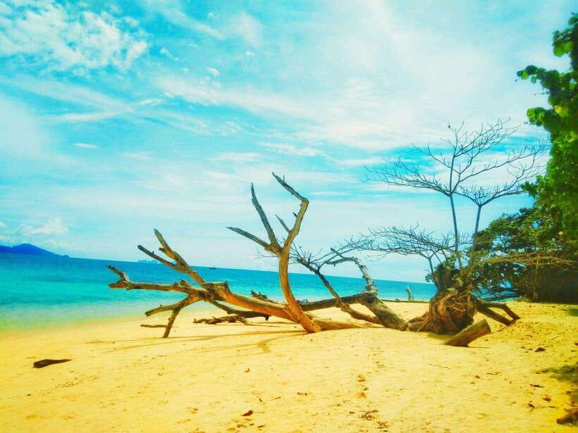 Koh Lanta: 4 Islands and Emerald Cave Snorkeling Trip - Koh Muk and the swim through Emerald Cave