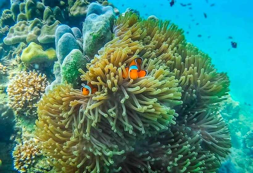 Koh Lanta: 4 Islands and Emerald Cave Snorkeling Trip - Who will enjoy this trip most