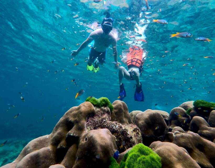 Koh Lanta: 4 Islands, Emerald Cave & Koh Kradan by Speedboat - Why this $51 island trip offers solid value