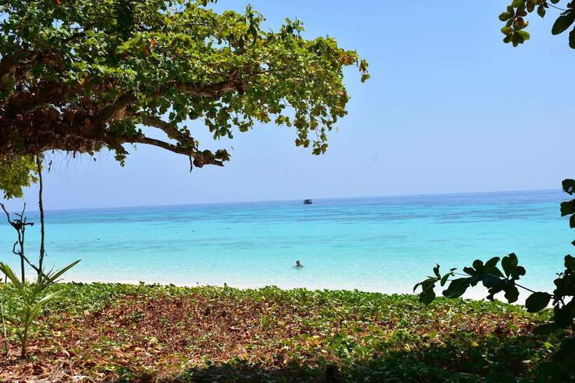 Koh Lanta: Adventure Sea Tour to Koh Rok and Koh Haa - Snorkeling around Koh Rok’s coral channel