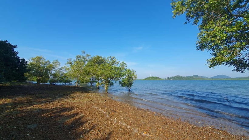 Koh Lanta Cultural Tuk-Tuk Tour: Old Town, Batik & Mangroves - At a glance