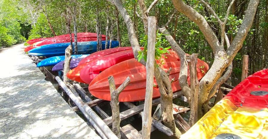 Koh Lanta:Mangrove + Elephant Camp Half Day Tour - Key points at a glance