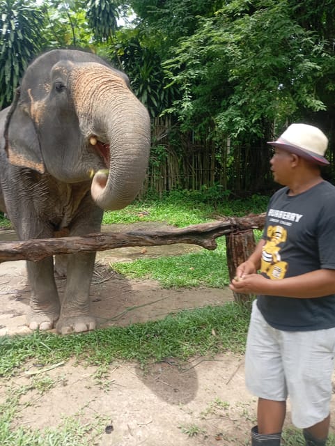 Koh Lanta:Mangrove + Elephant Camp Half Day Tour - What guides Ka and Deen add