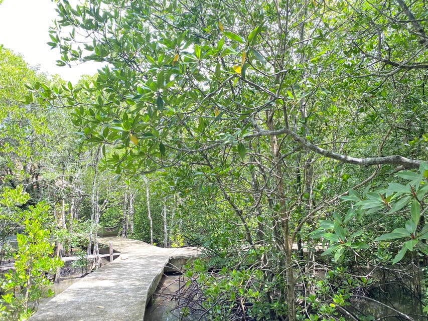 Koh Lanta:Mangrove + Elephant Camp Half Day Tour - Booking flexibility and basic details