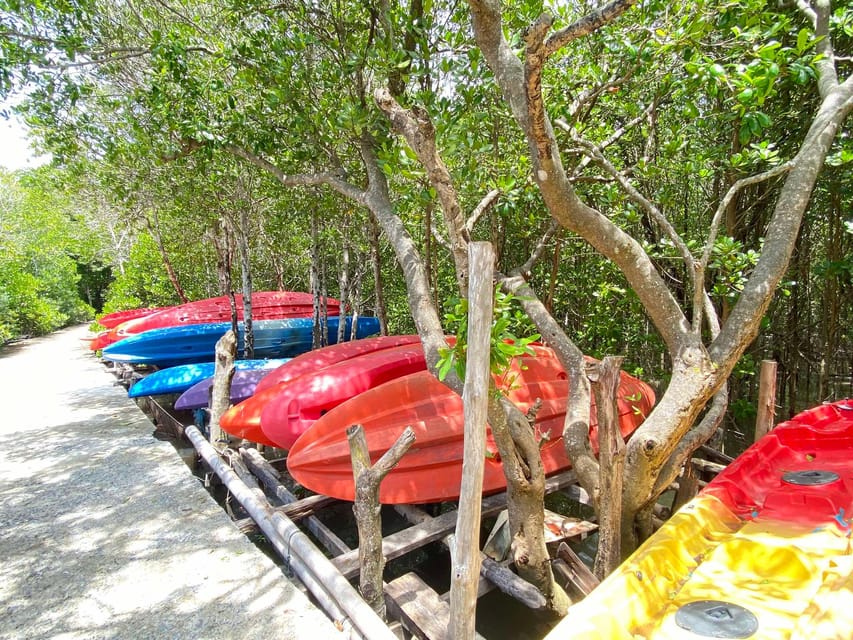 Koh Lanta:Mangrove + Elephant Camp Half Day Tour - Thung Yee Peng and the mangrove forest