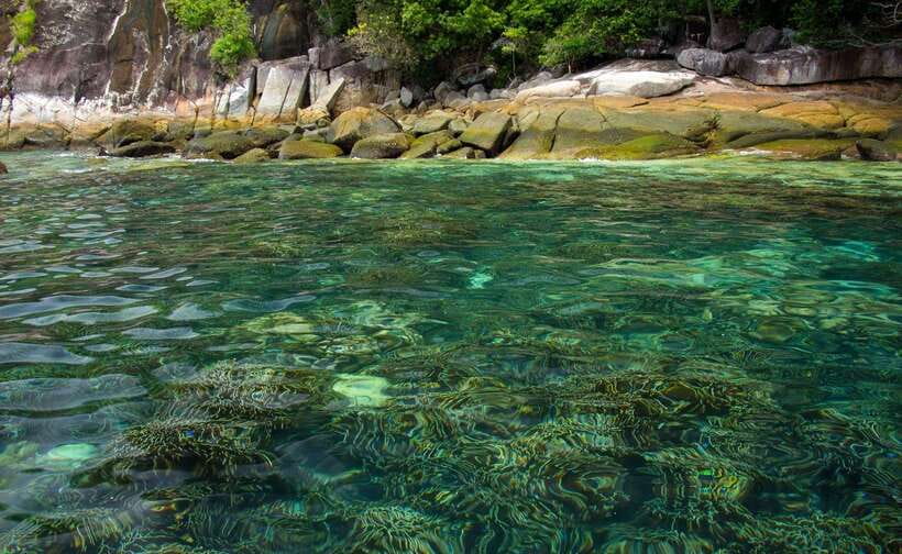 Koh Lipe: 5 Island Snorkeling Trip by Longtail Boat w/ Lunch - Koh Yang’s hard coral reef