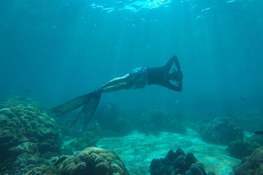Koh Lipe: Full Day Multi-Island Snorkeling Trip with Lunch - What the $28 price really gets you