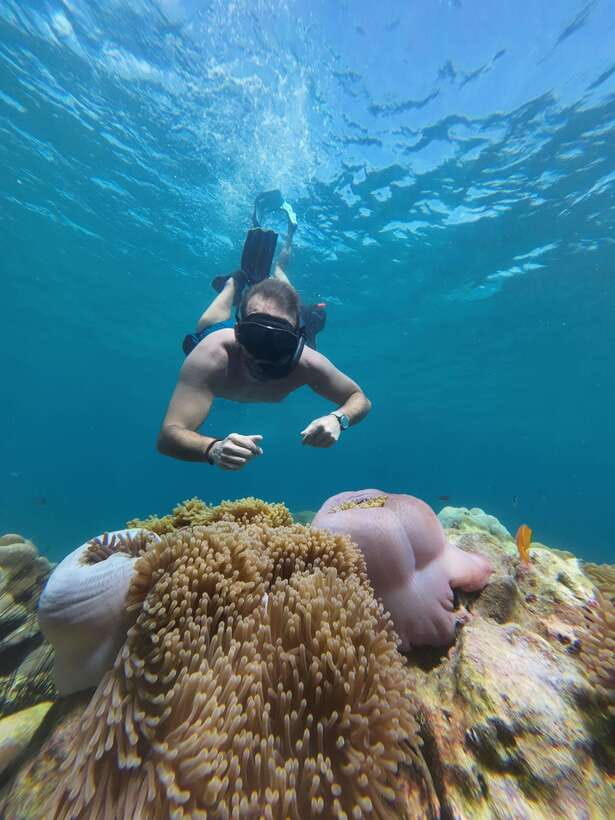 Koh Lipe: Half-Day Snorkeling (Morning/Afternoon/Sunset) - Jabang Island and its soft corals
