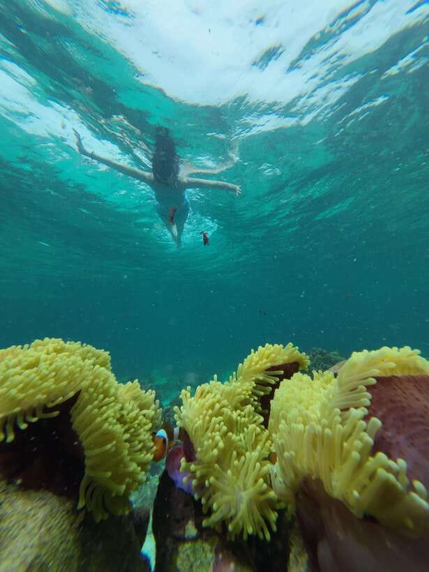 Koh Lipe: Half-Day Snorkeling (Morning/Afternoon/Sunset) - What the $16 price really includes