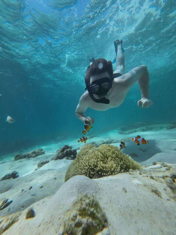 Koh Lipe: Half-Day Snorkeling (Morning/Afternoon/Sunset) - How the small group affects the day