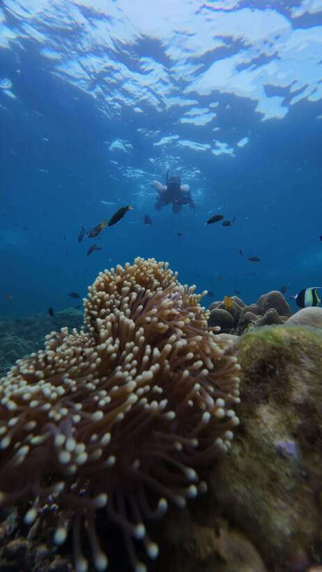 Koh Lipe: Half-Day Snorkeling (Morning/Afternoon/Sunset) - Setting out from Wichit Tour on Walking Street