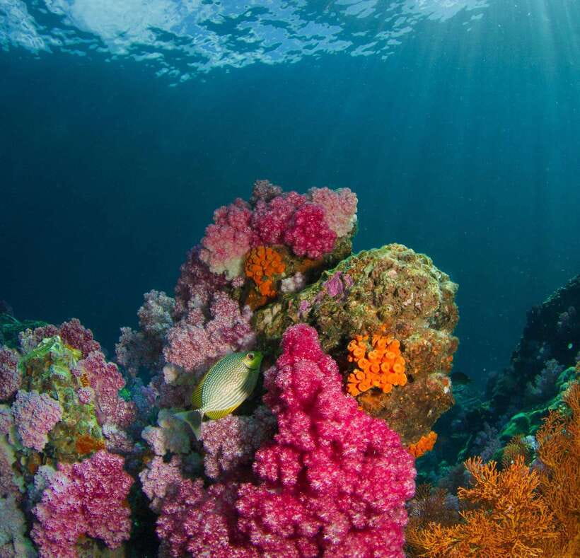 Koh Lipe: Island Hopping by Private Longtail Boat w/ Snorkel - What the $109 price really buys you