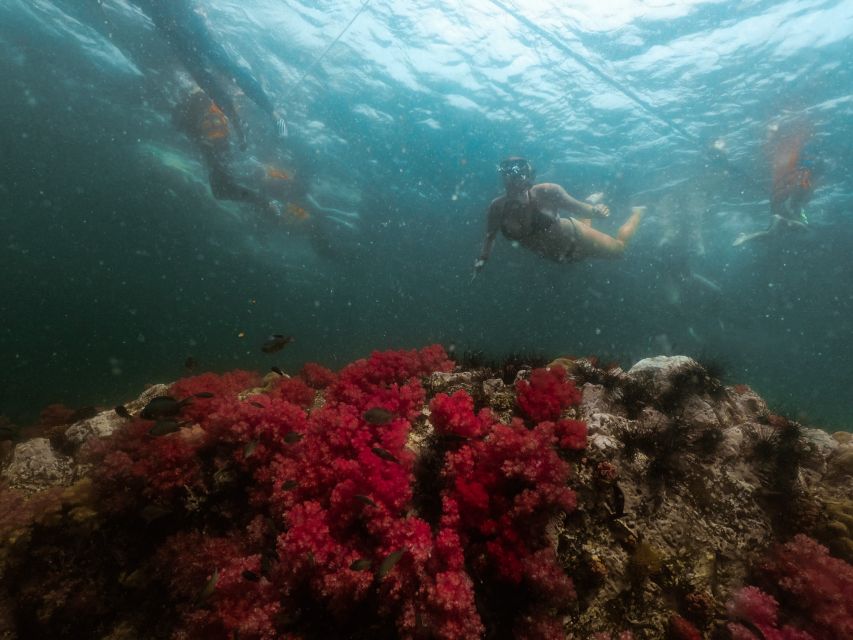 Koh Lipe: Longtail Boat Snorkeling Trip Program A - Jabung Island and the seven-color coral