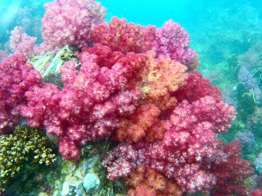 Koh Lipe Snorkeling Trip 6 hours Trip1 - Sai Sai Bay at Koh Adang