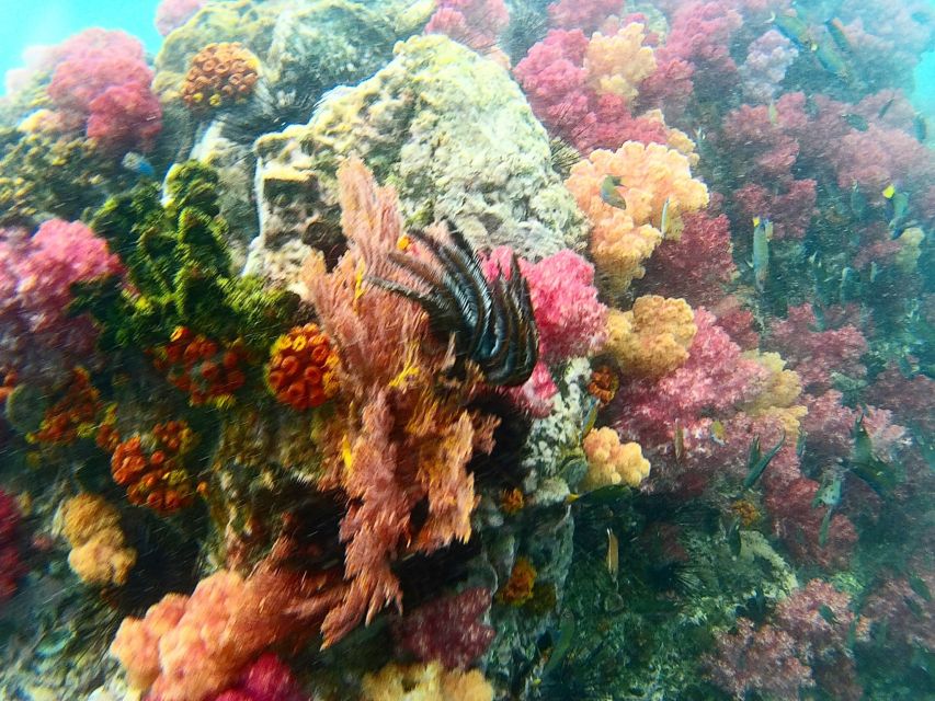 Koh Lipe Snorkeling Trip 6 hours Trip1 - What the included lunch and gear mean