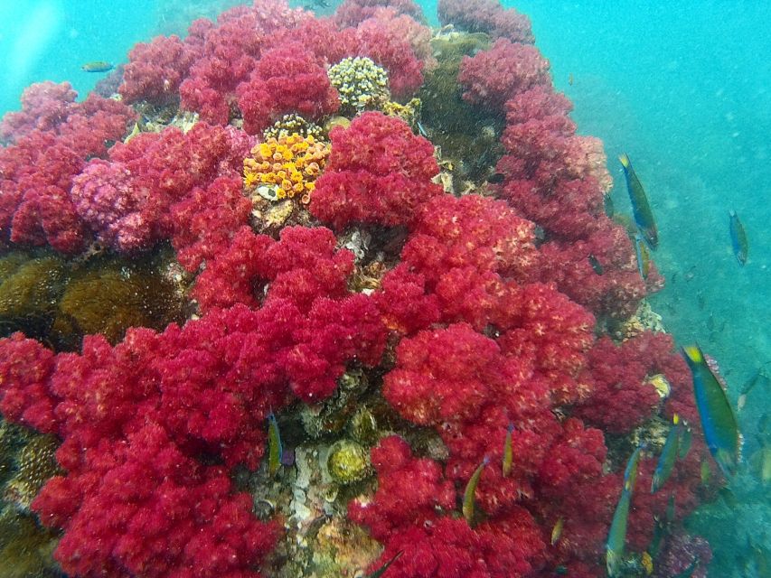 Koh Lipe Snorkeling Trip 6 hours Trip1 - Koh Hin Ngam and its black-rock beach