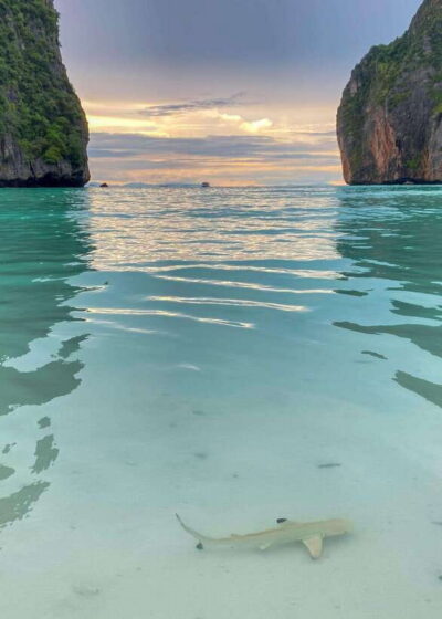Koh Phi Phi: Maya Bay Private Longtail Boat Tour