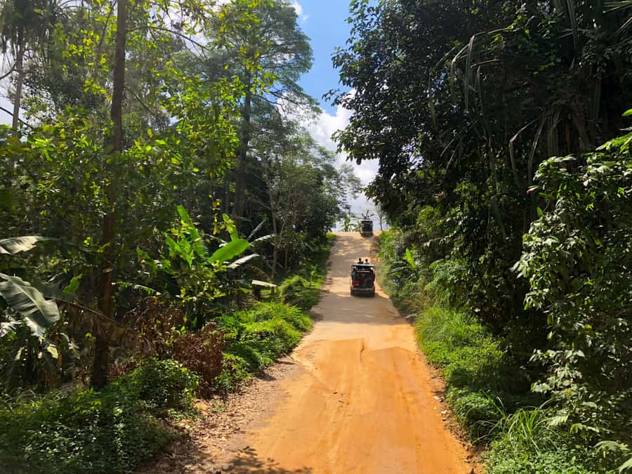 Koh Samui: 4x4 Off Road Island Safari Tour Including Lunch - Coconut and rubber plantations, with local work on display