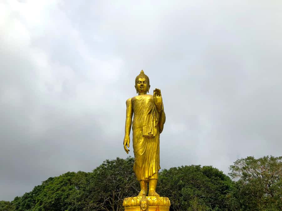 Koh Samui: 4x4 Off Road Island Safari Tour Including Lunch - Lunch, transport, and the real value of $40