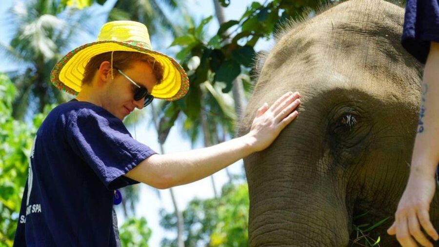 Koh Samui: 4x4 Sightseeing Safari & Elephant Sanctuary Tour - Coconut Plantations Show Everyday Samui