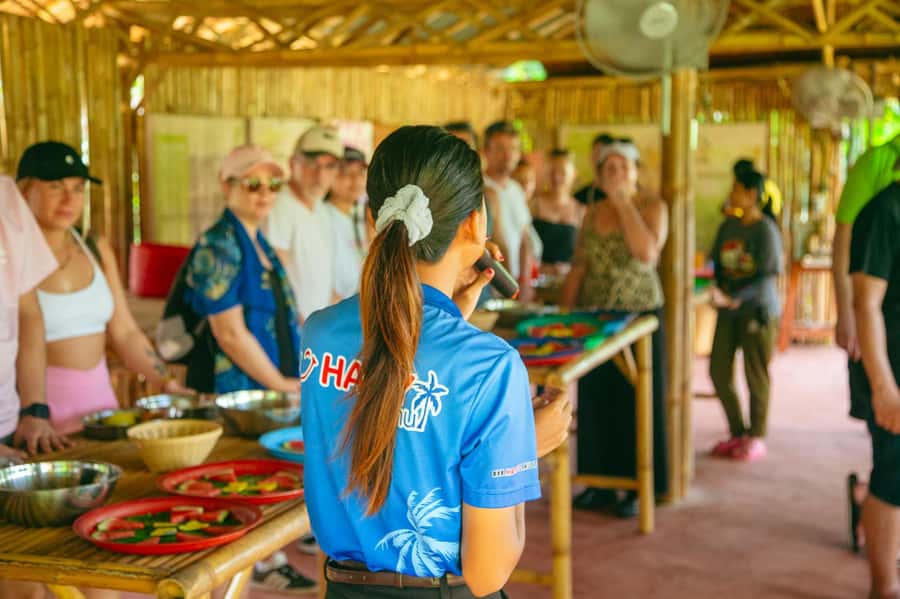 Koh Samui: Elephant Sanctuary and Jungle Tour with Lunch - Why this tour works well in six hours