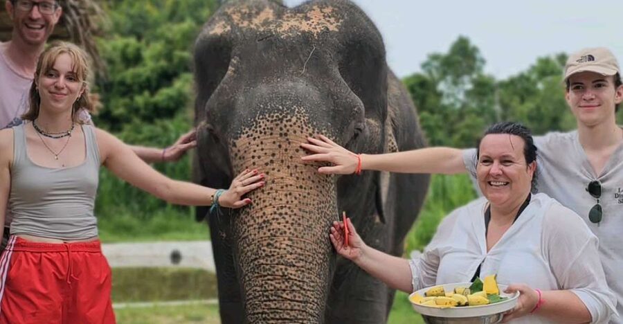 Koh Samui: Elephant Sanctuary and Jungle Tour with Lunch - The 4WD ride through Samui’s hills