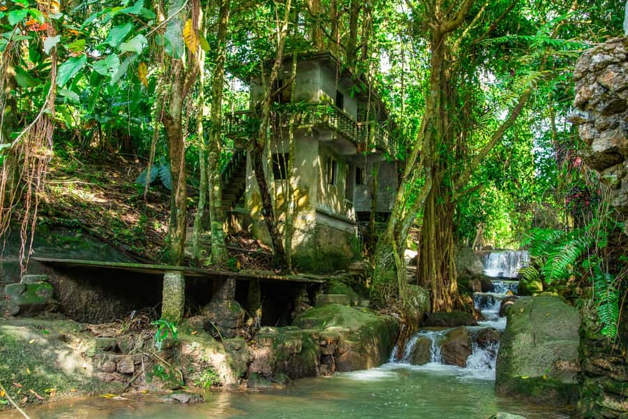 Koh Samui: Elephant Sanctuary and Jungle Tour with Lunch - Wat Teepangkorn and the island view
