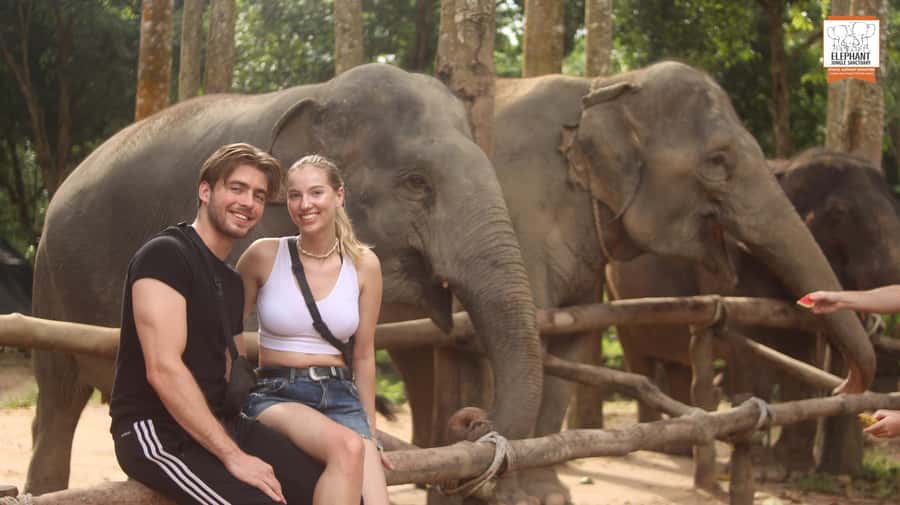 Koh Samui: Elephant Sanctuary Entry and Feeding Experience - Feeding elephants in a quiet corner of Koh Samui