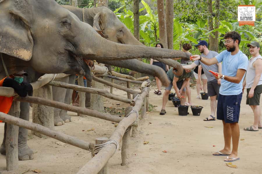 Koh Samui: Elephant Sanctuary Entry and Feeding Experience - A one-hour route with feeding, stories, and photographs