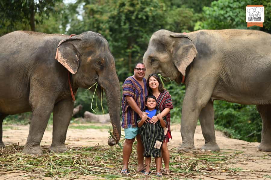 Koh Samui: Elephant Sanctuary Entry and Feeding Experience - Meeting rescued elephants without rides or forced shows
