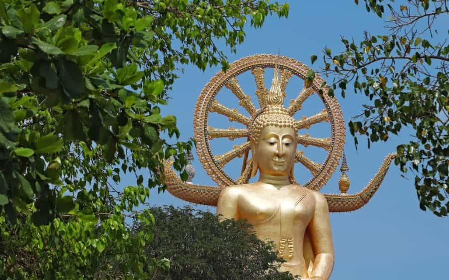 Koh Samui: Half-Day Highlights Tour with Hotel Transfers - A useful first morning on Koh Samui