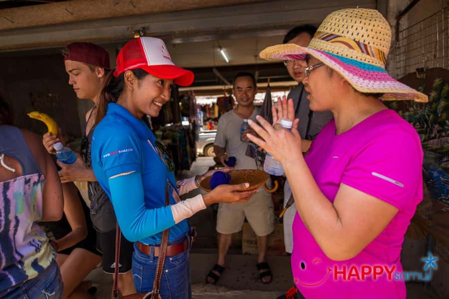 Koh Samui: Half-Day Island Highlights Tour with Hotel Pickup - The optional elephant camp choice