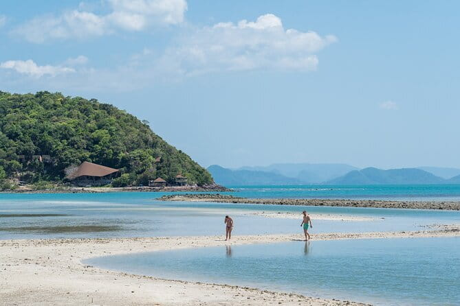 Koh Samui: Island Hopping Adventure in Coral and Pig Island - Key points to know before booking