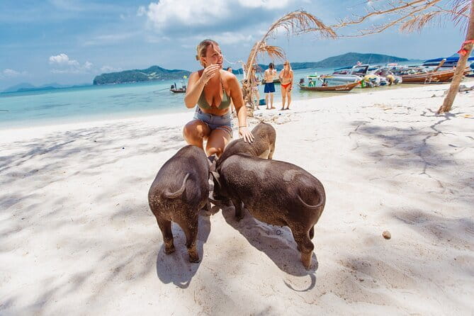 Koh Samui: Island Hopping Adventure in Coral and Pig Island - Guides make the difference